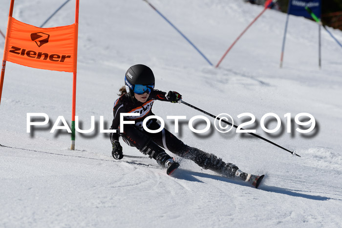 Ziener Cup WF,Finale, Quali + PSL, 30.03.2019