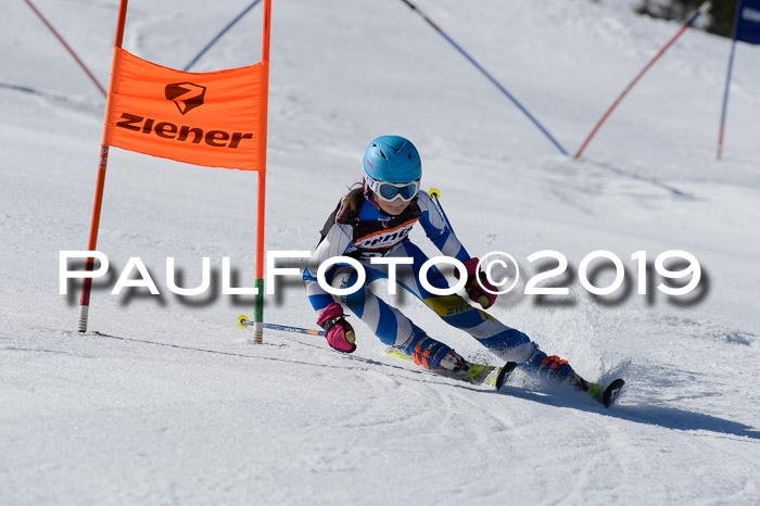 Ziener Cup WF,Finale, Quali + PSL, 30.03.2019