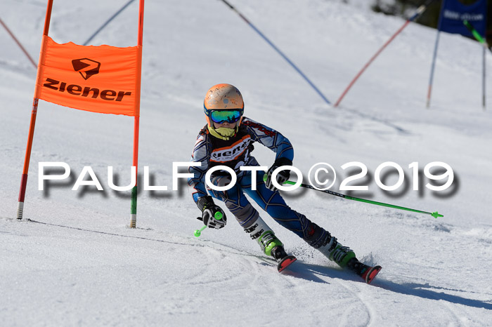 Ziener Cup WF,Finale, Quali + PSL, 30.03.2019