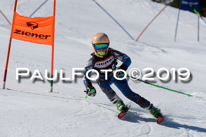 Ziener Cup WF,Finale, Quali + PSL, 30.03.2019