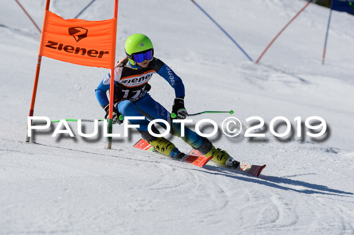 Ziener Cup WF,Finale, Quali + PSL, 30.03.2019