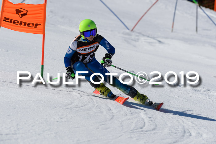 Ziener Cup WF,Finale, Quali + PSL, 30.03.2019
