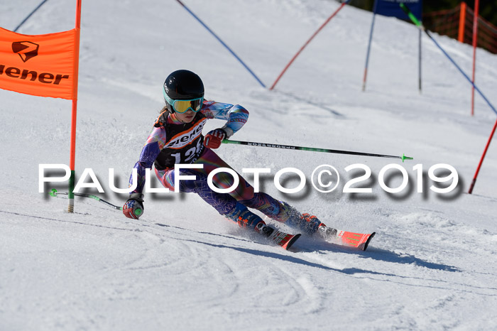 Ziener Cup WF,Finale, Quali + PSL, 30.03.2019