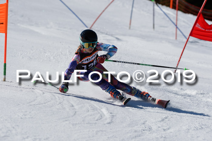 Ziener Cup WF,Finale, Quali + PSL, 30.03.2019