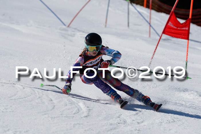 Ziener Cup WF,Finale, Quali + PSL, 30.03.2019