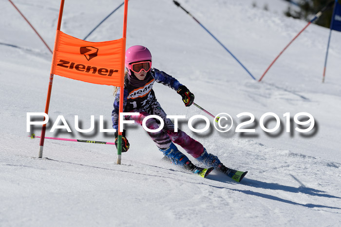 Ziener Cup WF,Finale, Quali + PSL, 30.03.2019
