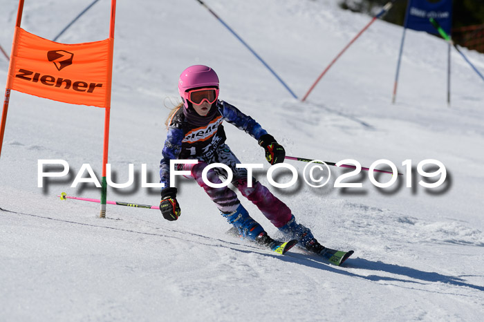 Ziener Cup WF,Finale, Quali + PSL, 30.03.2019