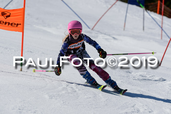 Ziener Cup WF,Finale, Quali + PSL, 30.03.2019