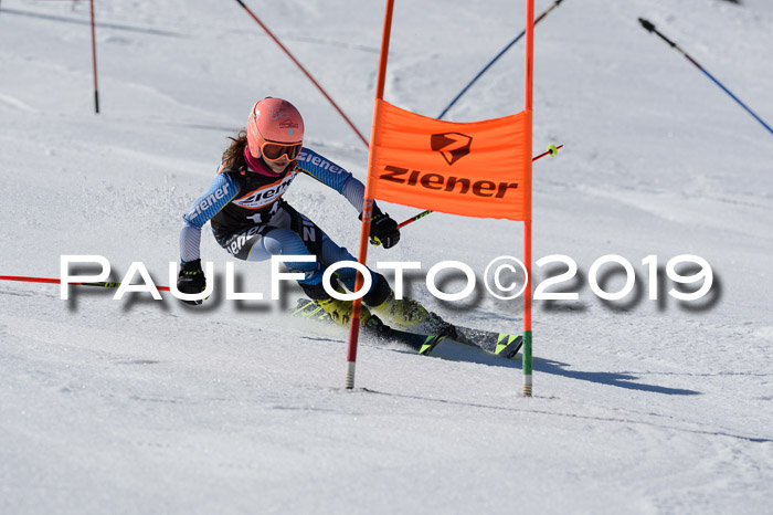 Ziener Cup WF,Finale, Quali + PSL, 30.03.2019