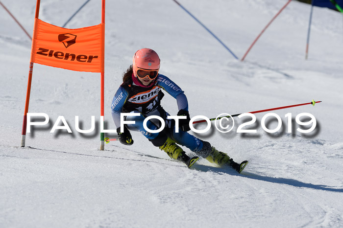 Ziener Cup WF,Finale, Quali + PSL, 30.03.2019
