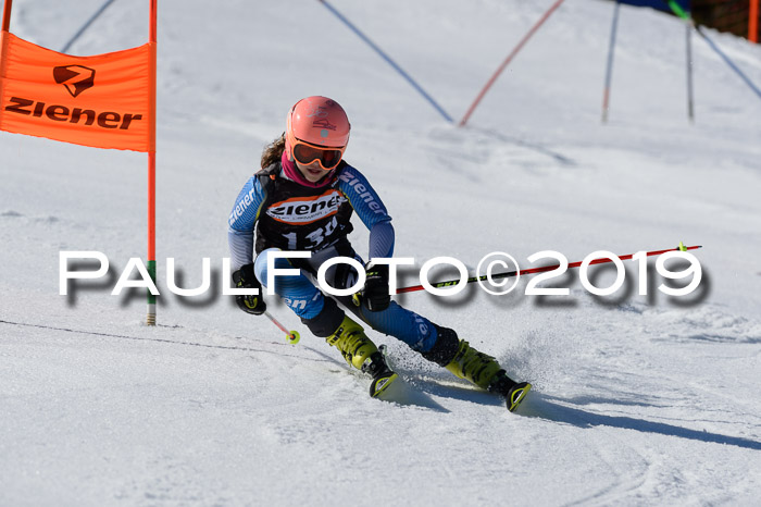 Ziener Cup WF,Finale, Quali + PSL, 30.03.2019
