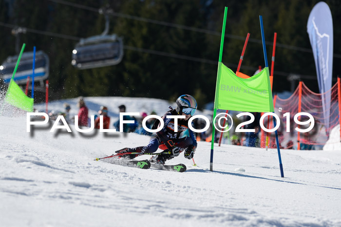 Ziener Cup WF,Finale, Quali + PSL, 30.03.2019