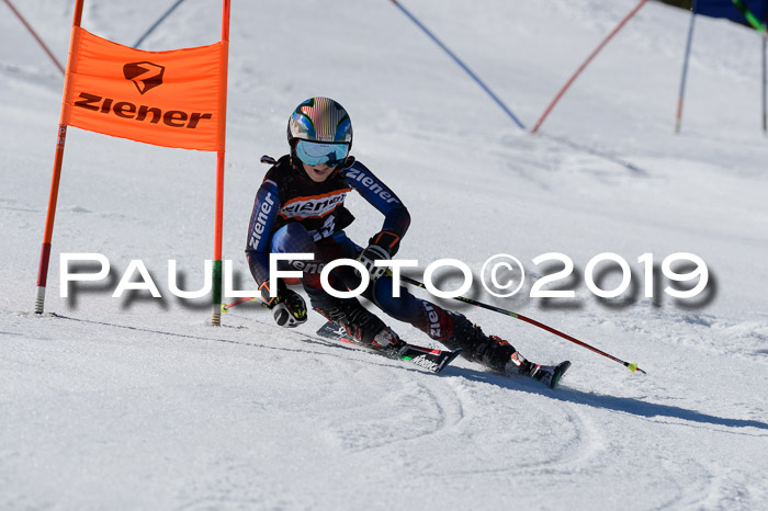 Ziener Cup WF,Finale, Quali + PSL, 30.03.2019