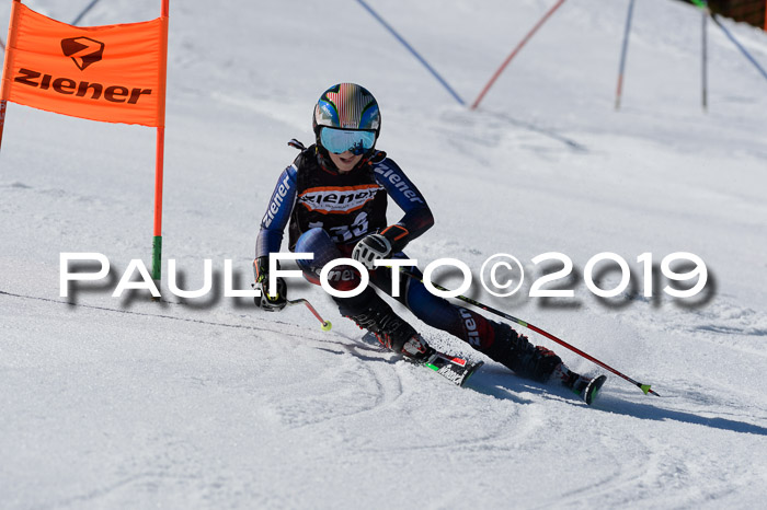 Ziener Cup WF,Finale, Quali + PSL, 30.03.2019