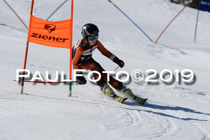 Ziener Cup WF,Finale, Quali + PSL, 30.03.2019