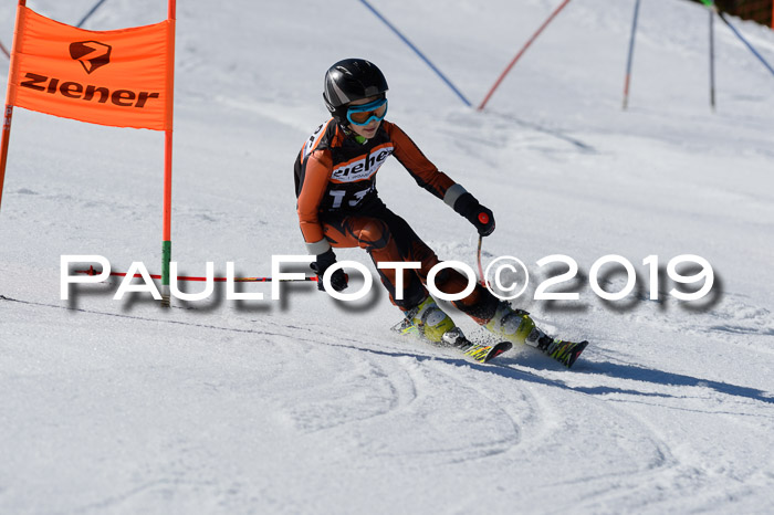 Ziener Cup WF,Finale, Quali + PSL, 30.03.2019