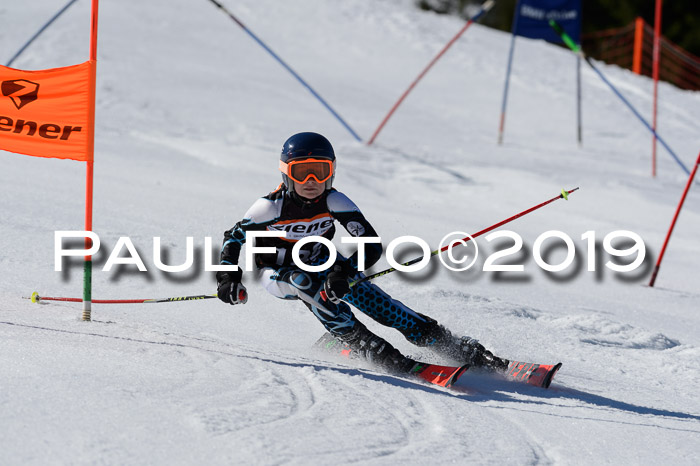 Ziener Cup WF,Finale, Quali + PSL, 30.03.2019