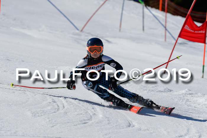 Ziener Cup WF,Finale, Quali + PSL, 30.03.2019