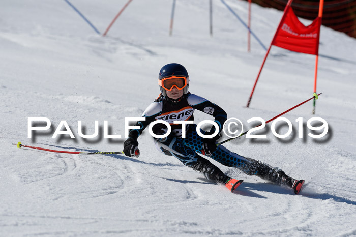 Ziener Cup WF,Finale, Quali + PSL, 30.03.2019