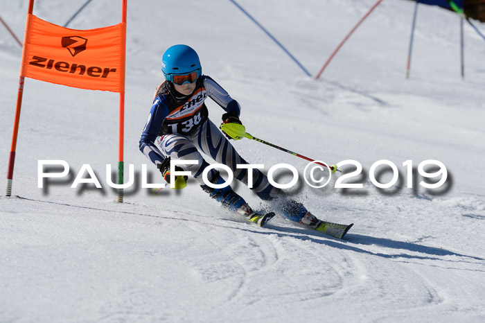 Ziener Cup WF,Finale, Quali + PSL, 30.03.2019