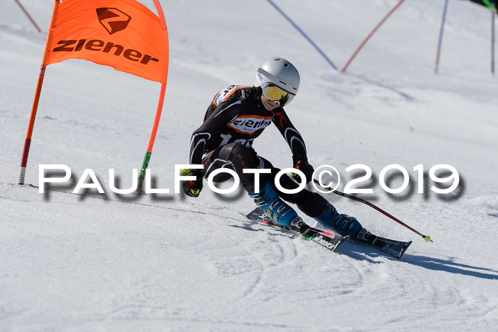 Ziener Cup WF,Finale, Quali + PSL, 30.03.2019