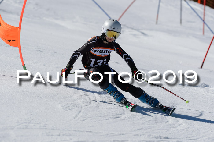 Ziener Cup WF,Finale, Quali + PSL, 30.03.2019