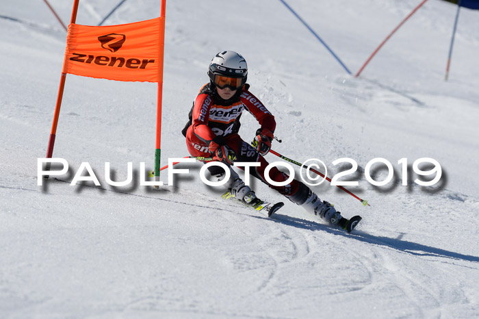 Ziener Cup WF,Finale, Quali + PSL, 30.03.2019