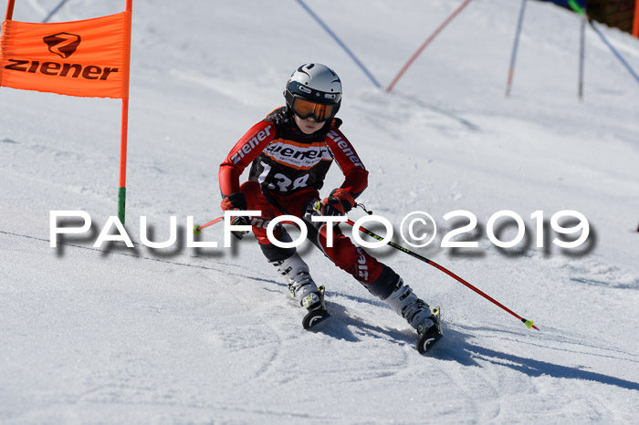 Ziener Cup WF,Finale, Quali + PSL, 30.03.2019