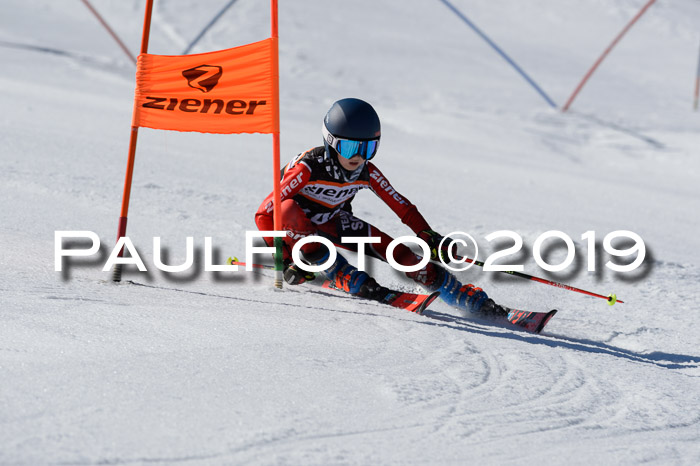 Ziener Cup WF,Finale, Quali + PSL, 30.03.2019