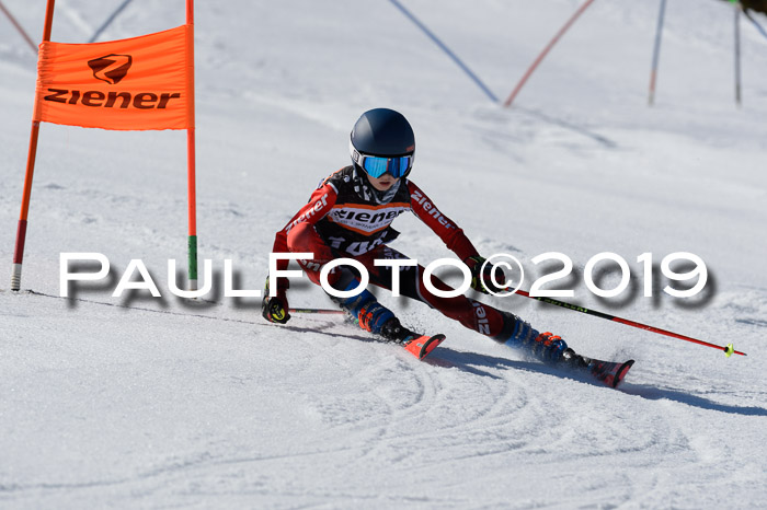Ziener Cup WF,Finale, Quali + PSL, 30.03.2019