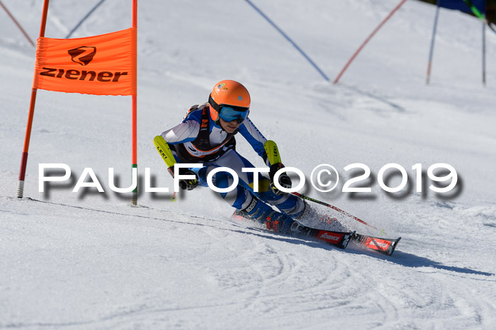 Ziener Cup WF,Finale, Quali + PSL, 30.03.2019