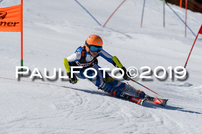Ziener Cup WF,Finale, Quali + PSL, 30.03.2019