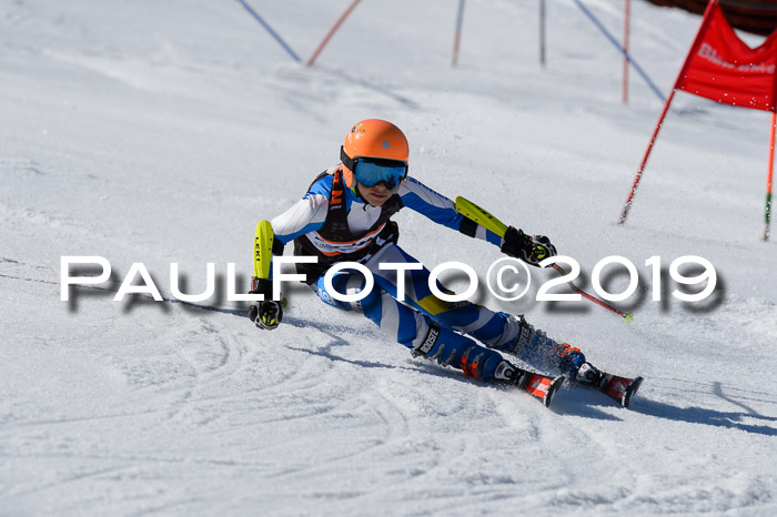 Ziener Cup WF,Finale, Quali + PSL, 30.03.2019