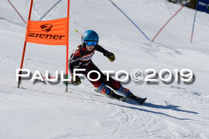 Ziener Cup WF,Finale, Quali + PSL, 30.03.2019