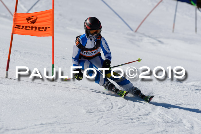 Ziener Cup WF,Finale, Quali + PSL, 30.03.2019