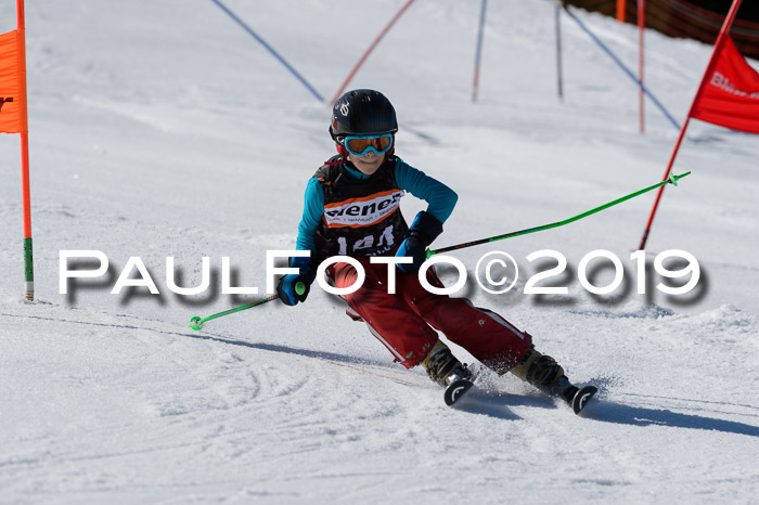 Ziener Cup WF,Finale, Quali + PSL, 30.03.2019