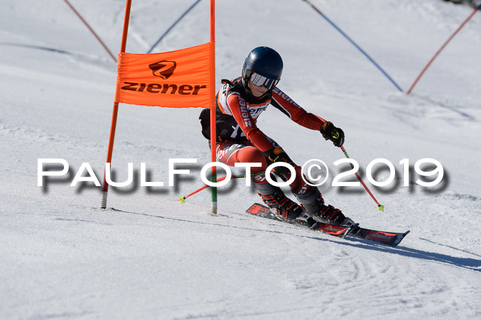 Ziener Cup WF,Finale, Quali + PSL, 30.03.2019