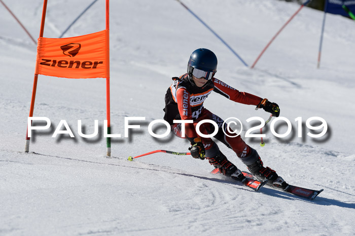 Ziener Cup WF,Finale, Quali + PSL, 30.03.2019