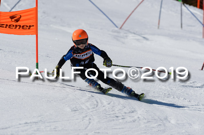 Ziener Cup WF,Finale, Quali + PSL, 30.03.2019