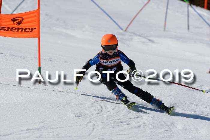 Ziener Cup WF,Finale, Quali + PSL, 30.03.2019