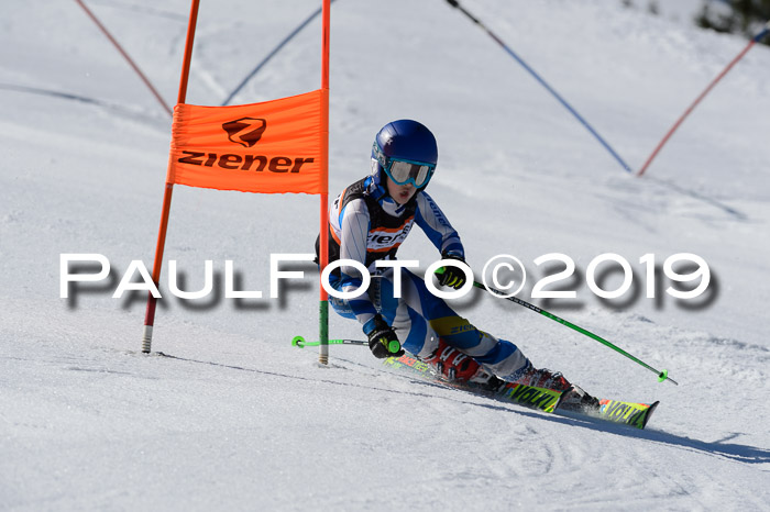 Ziener Cup WF,Finale, Quali + PSL, 30.03.2019