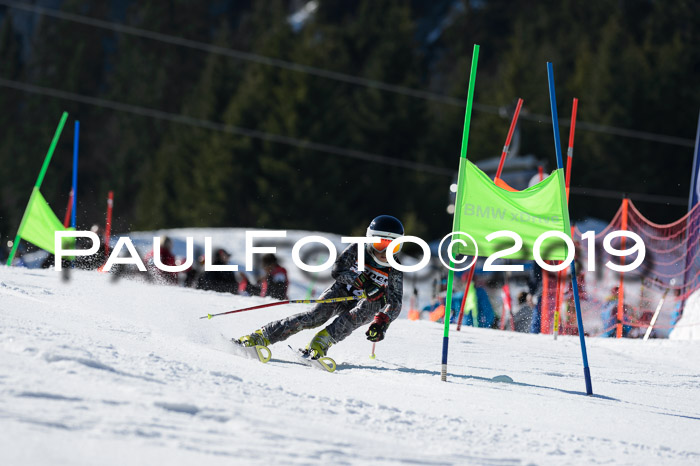 Ziener Cup WF,Finale, Quali + PSL, 30.03.2019
