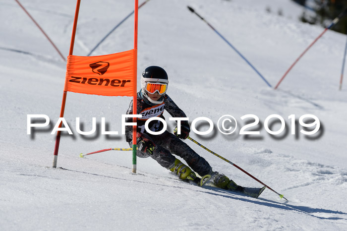 Ziener Cup WF,Finale, Quali + PSL, 30.03.2019
