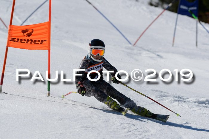 Ziener Cup WF,Finale, Quali + PSL, 30.03.2019