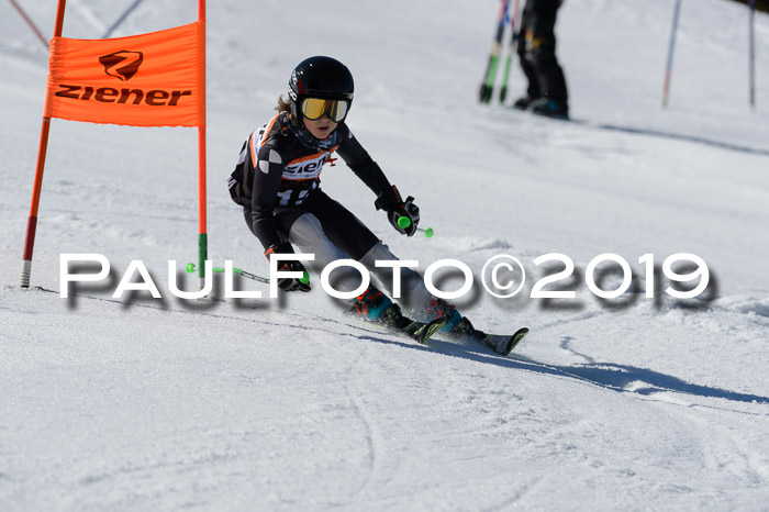Ziener Cup WF,Finale, Quali + PSL, 30.03.2019