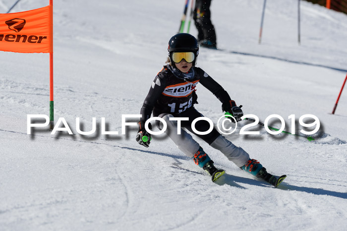 Ziener Cup WF,Finale, Quali + PSL, 30.03.2019