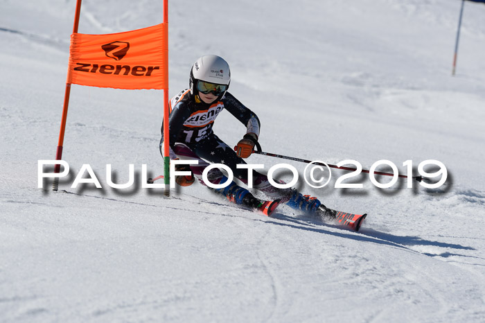 Ziener Cup WF,Finale, Quali + PSL, 30.03.2019
