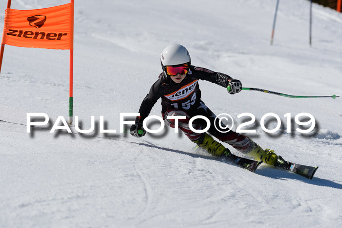 Ziener Cup WF,Finale, Quali + PSL, 30.03.2019