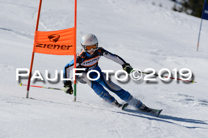 Ziener Cup WF,Finale, Quali + PSL, 30.03.2019
