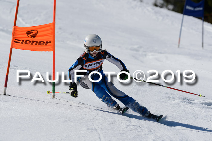 Ziener Cup WF,Finale, Quali + PSL, 30.03.2019